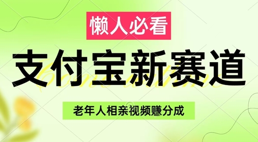 支付宝新赛道，利用老年人相亲视频，挣分成收益，轻松月入过W，操作简单-辰风资源站