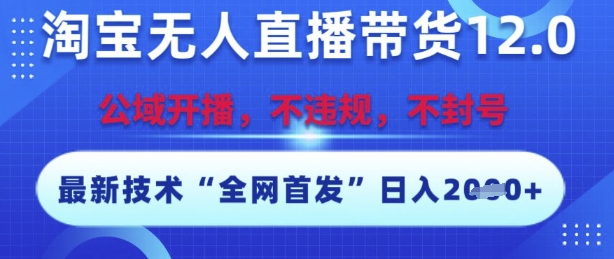 淘宝无人直播带货12.0，最新技术，不封号，不违规，操作简单，开播爆单，日入多张【揭秘】-辰风资源站