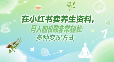 在小红书卖养生资料，月入四位数非常轻松，多种变现方式-辰风资源站