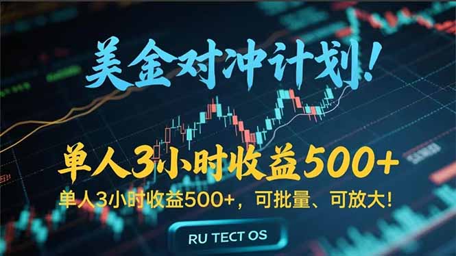 （15321期）长久稳定的撸美金项目，平均3小时收入 500+，可公司实地考察实地操作！-辰风资源站