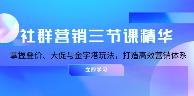 （13431期）社群营销三节课精华：掌握叠价、大促与金字塔玩法，打造高效营销体系-辰风资源站
