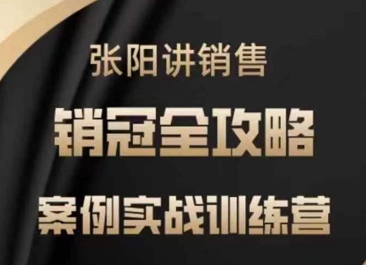 张阳讲销售实战训练营，​案例实战训练，销冠全攻略-辰风资源站