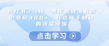 小红书3分钟一条作品精准引流创业粉300+，打造属于自己的流量帝国-辰风资源站