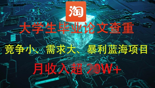 大学生毕业论文查重，暴利蓝海项目，月收入过1W+-辰风资源站