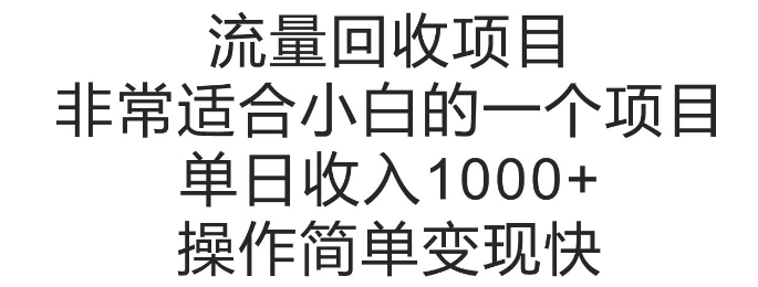 流量回收项目，非常适合小白的一个项目单日收入多张，操作简单变现快-慕云辰风博客