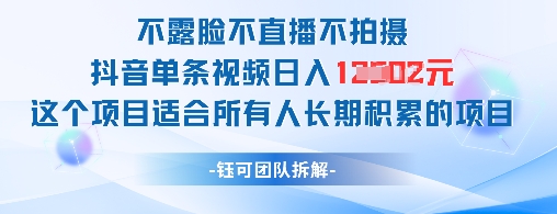 不露脸不直播不拍摄抖音单条视频日入1k+这个项目适合所有人长期积累的项目-辰风资源站