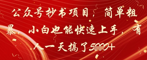 公众号抄书项目，简单粗暴，小白也能快速上手，有人一天搞了1k+-辰风资源站