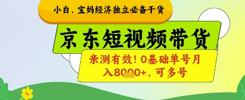 小白宝妈经济独立必备干货，京东短视频带货，亲测有效!0基础单号月入8k+，可多号【揭秘】-辰风资源站