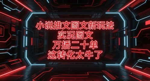 小说推文图文新玩法，实况图文，万播二十单，这转化太牛了！-辰风资源站