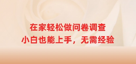 在家轻松做问卷调查，小白也能上手，无需经验-慕云辰风博客