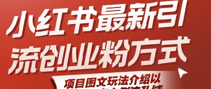 小红书最新引流创业粉方式，项目图文玩法介绍以及如何安全倒流私域-辰风资源站