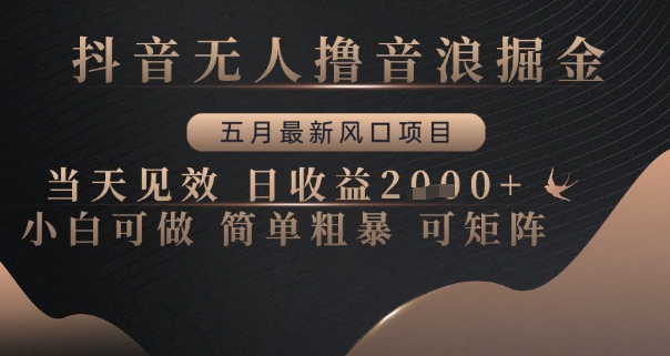 抖音无人撸音浪掘金，五月最新风口项目，当天见效，日收益多张，小白可做简单粗暴可矩阵【揭秘】-辰风资源站