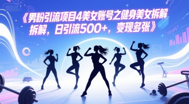男粉引流项目4美女账号之健身美女拆解，日引流500+，变现多张-辰风资源站
