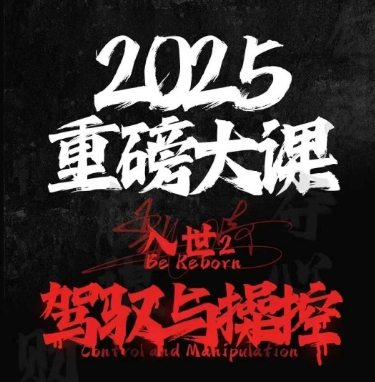 2025重磅大课，入世2，驾驭与控制-辰风资源站