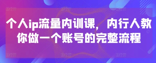 个人ip流量内训课，内行人教你做一个账号的完整流程-辰风资源站