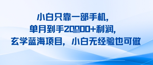 小白只靠一部手机，单月到手2W+利润，玄学蓝海项目，小白无经验也可做-辰风资源站