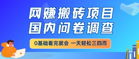 网创搬砖项目，国内问卷调查，小白轻松上手，一天三四张的也不难，干就完了【揭秘】-辰风资源站