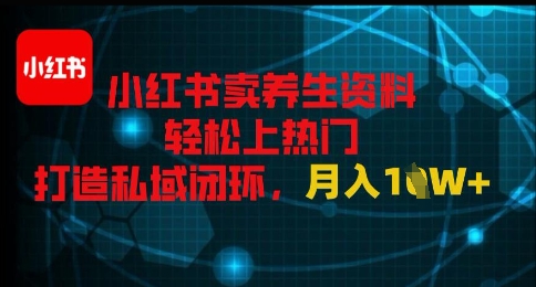 小红书卖养生资料轻松上热门，打造私域闭环，月入1W+-辰风资源站