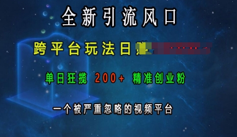 全新引流风口，跨平台玩法日入上k，单日狂揽200+精准创业粉，一个被严重忽略的视频平台-慕云辰风博客