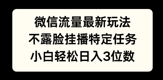 微信流量最新玩法，不露脸直播小游戏，小白轻松日入3位数-辰风资源站