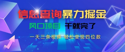 信息查询暴力掘金，一天三条视频，轻松变现四位数，风口项目干就完了【揭秘】-辰风资源站