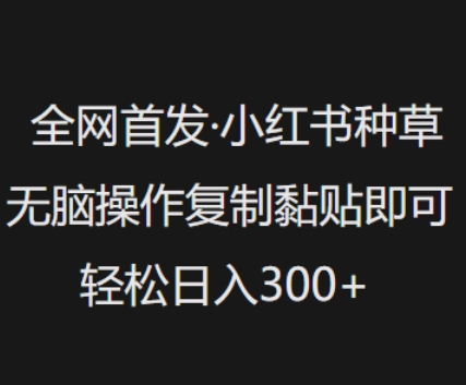 全网首发，小红书种草无脑操作，复制黏贴即可，轻松日入3张-慕云辰风博客