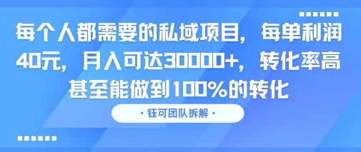 每个人都需要的私域项目，每单利润40米，月入可达3W+，转化率高 甚至能做到100%的转化-辰风资源站
