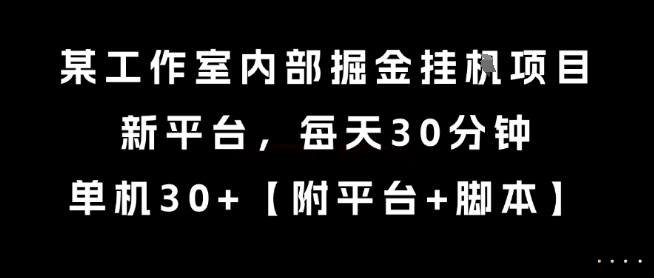 某工作室内部掘金挂G项目，新平台，每天30分钟，单机30+【揭秘】-辰风资源站