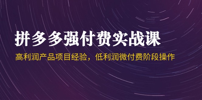 （14874期）拼多多强付费实战课-44期，高利润产品项目经验，低利润微付费阶段操作-辰风资源站