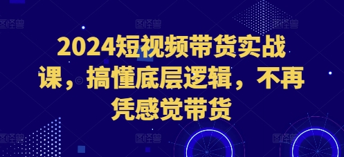 2024短视频带货实战课，搞懂底层逻辑，不再凭感觉带货-慕云辰风博客