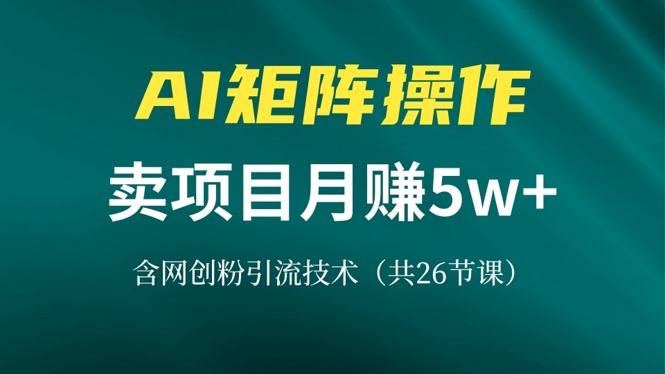 （13335期）网创IP打造课，借助AI卖项目月赚5万+，含引流技术（共26节课）-慕云辰风博客