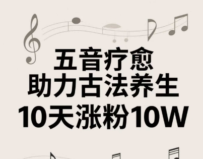 古法五音养生教程，五音疗愈的视频的制作方法，2-4小时就能学会，作者10天涨粉10W-辰风资源站