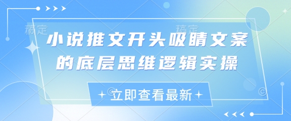 小说推文开头吸睛文案的底层思维逻辑实操-辰风资源站