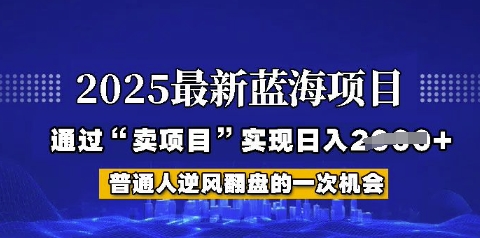 2025年首次揭秘如何通过“网创项目”日入多张【揭秘】-慕云辰风博客