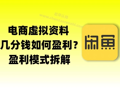 揭秘虚拟电商1分钱资料与卡券是如何获得收益的(详细拆解)-辰风资源站