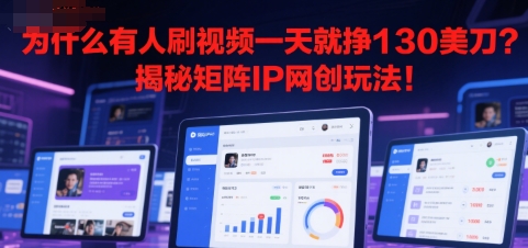 为什么有人刷视频一天就挣130美刀？揭秘矩阵IP网创玩法!-辰风资源站