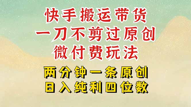 （15577期）快手黑科技搬运带货，一刀不剪过原创，微付费投流玩法，轻松日入四位数…-辰风资源站