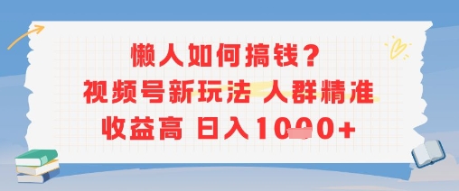 懒人如何搞钱？视频号新玩法，人群精准收益高，日入多张-辰风资源站