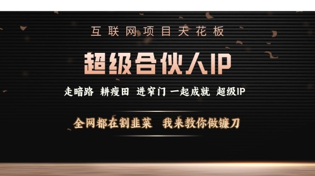 互联网项目天花板，超级合伙人IP，全网都在割韭菜，我来教你做镰刀【仅揭秘】-慕云辰风博客