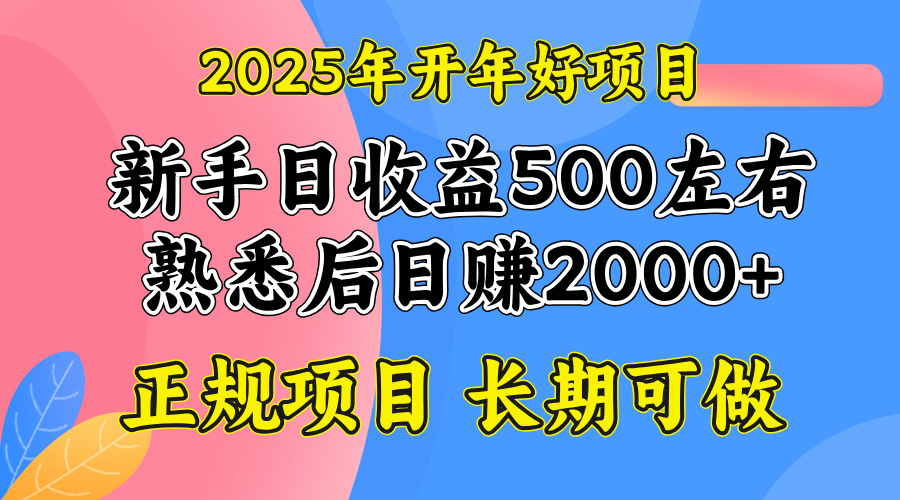 （14076期）2025开年好项目，单号日收益2000左右-慕云辰风博客