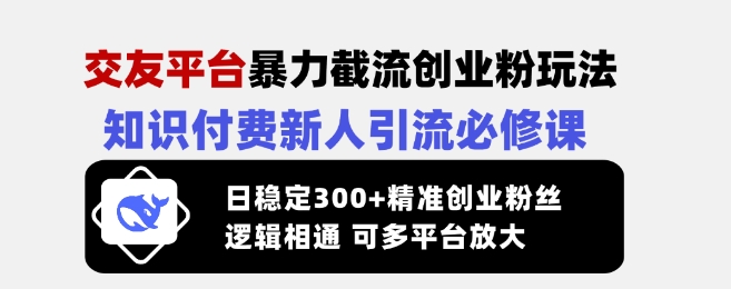 交友平台暴力截流创业粉玩法，知识付费新人引流必修课，日稳定300+精准创业粉丝，逻辑相通可多平台放大-慕云辰风博客