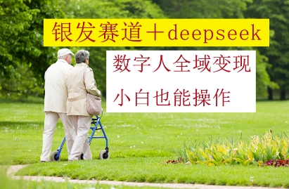 银发赛道+deepseek数字人全域变现，小白也能操作-辰风资源站