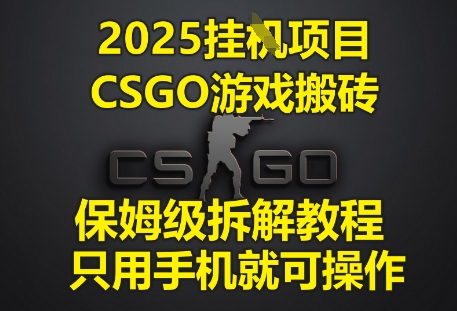2025挂G项目，CSGO游戏搬砖，保姆级拆解教程，只用手机就可操作【揭秘】-辰风资源站