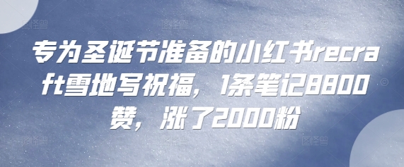 专为圣诞节准备的小红书recraft雪地写祝福，1条笔记8800赞，涨了2000粉-慕云辰风博客