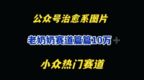 公众号老奶奶治愈系流量主，篇篇10W+-辰风资源站