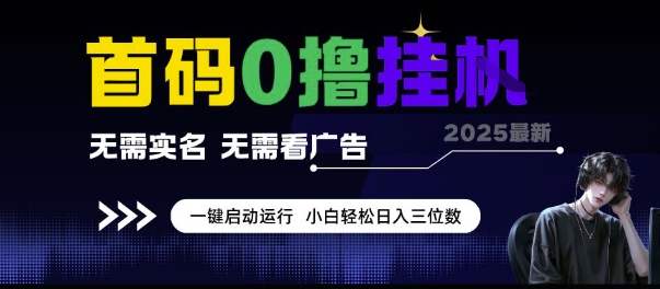 首码0撸挂G项目，无需实名无需看广告 一键启动运行，小白轻松日入三位数【揭秘】-辰风资源站