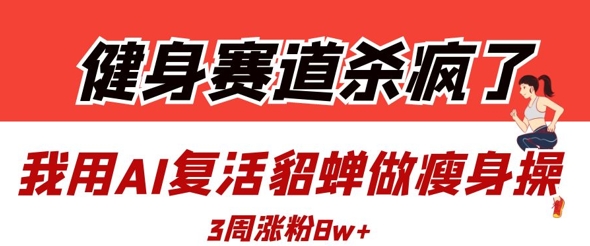 健身赛道杀疯了？我用AI复活貂蝉做瘦身操，3周涨粉8W-辰风资源站