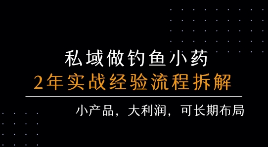 私域做钓鱼小药 每单利润3张+ 详细流程拆解-辰风资源站