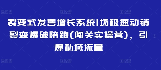 裂变式发售增长系统1场极速动销裂变爆破陪跑(闯关实操营)，引爆私域流量-慕云辰风博客