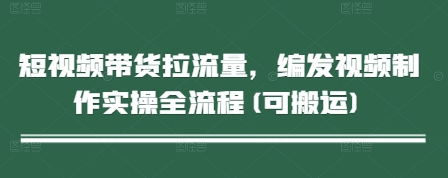 短视频带货拉流量，编发视频制作实操全流程(可搬运)-辰风资源站